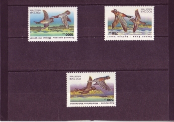 RUS 0462 / 0464 ** - 1995